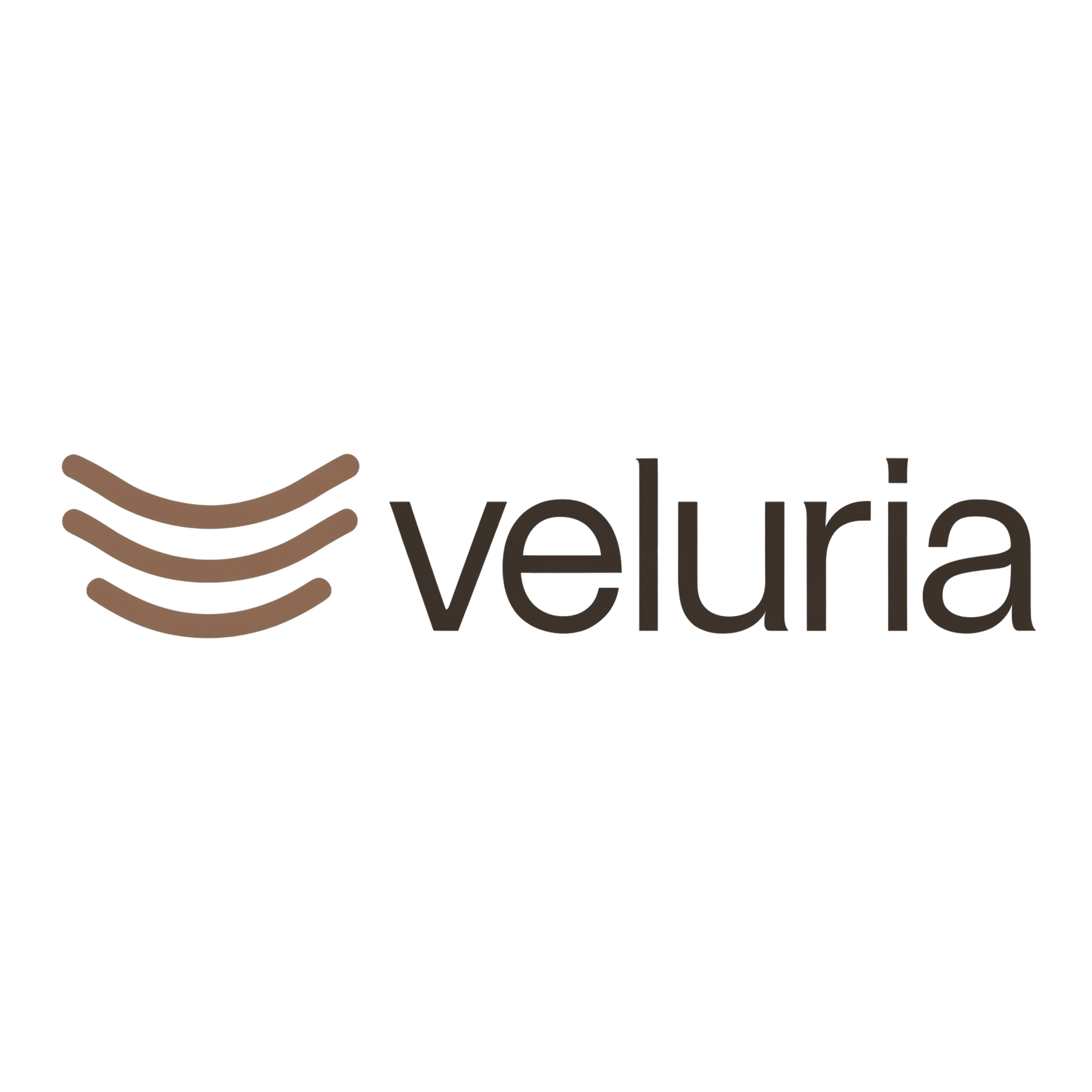 Veluria halı yıkama stüdyosu