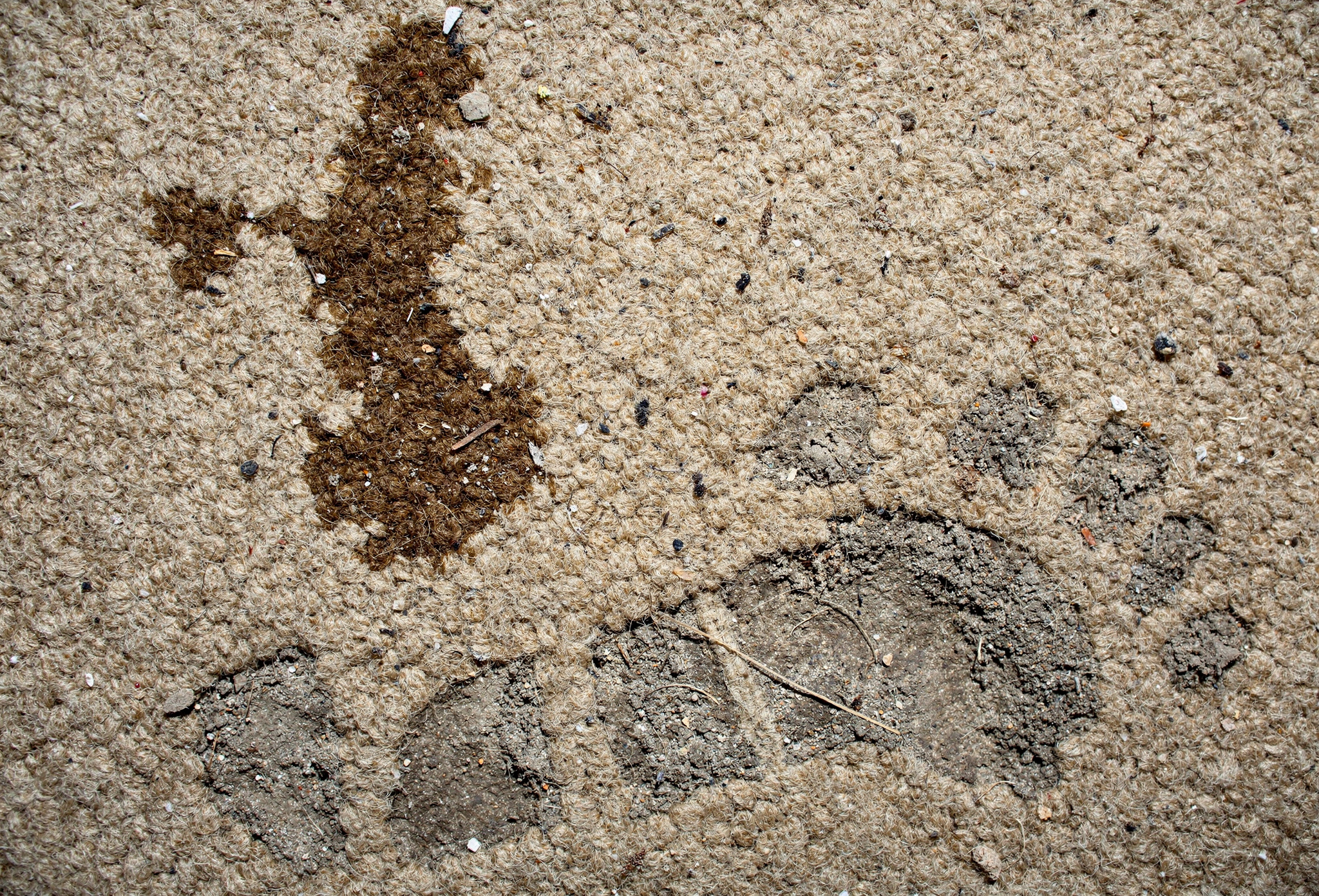 Temizlik öncesi: lekeleri ve toz birikimi olan yıpranmış halı yüzeyi